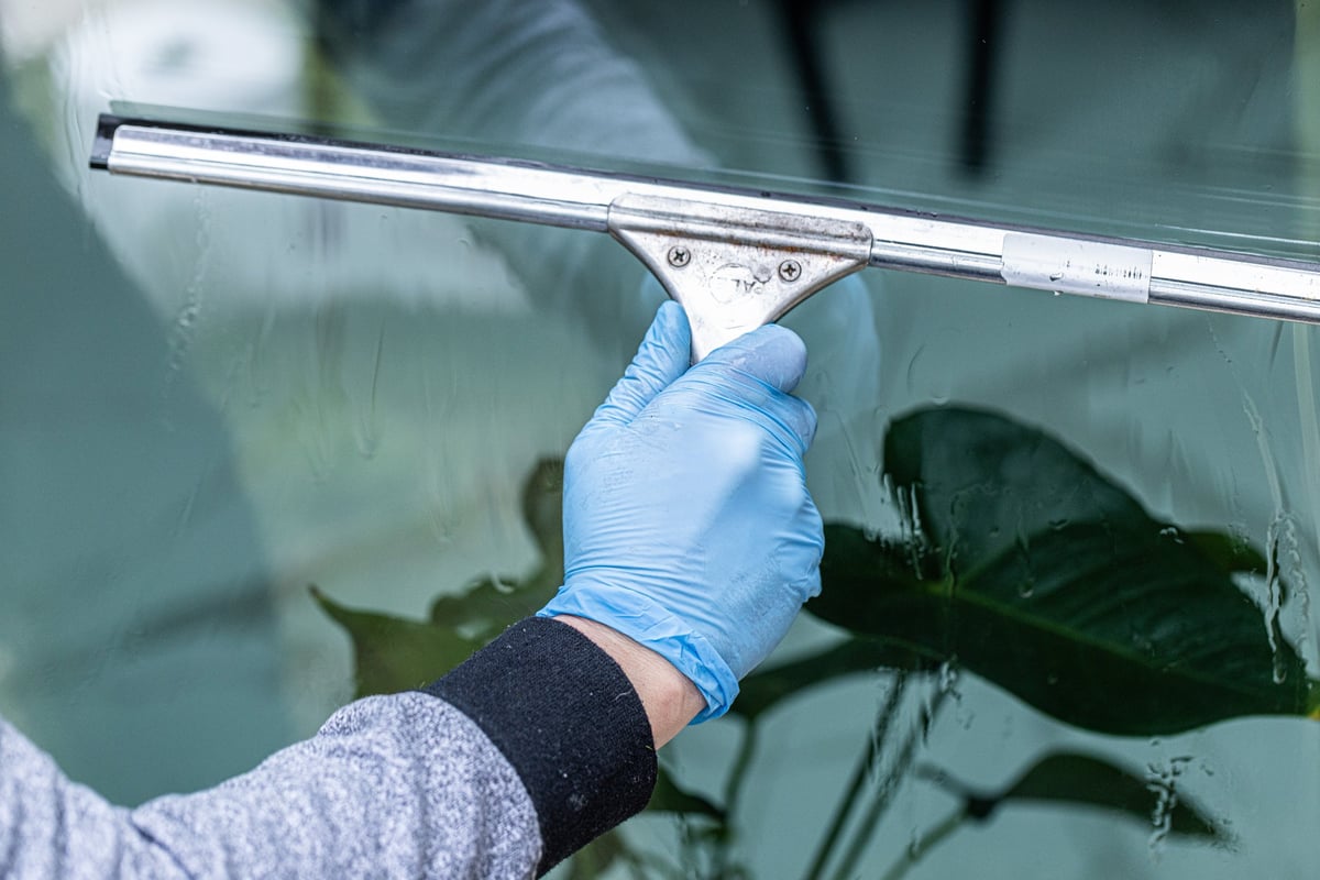 Professional cleaning worker washing double-glazed windows with a squeegee for a streak-free finish