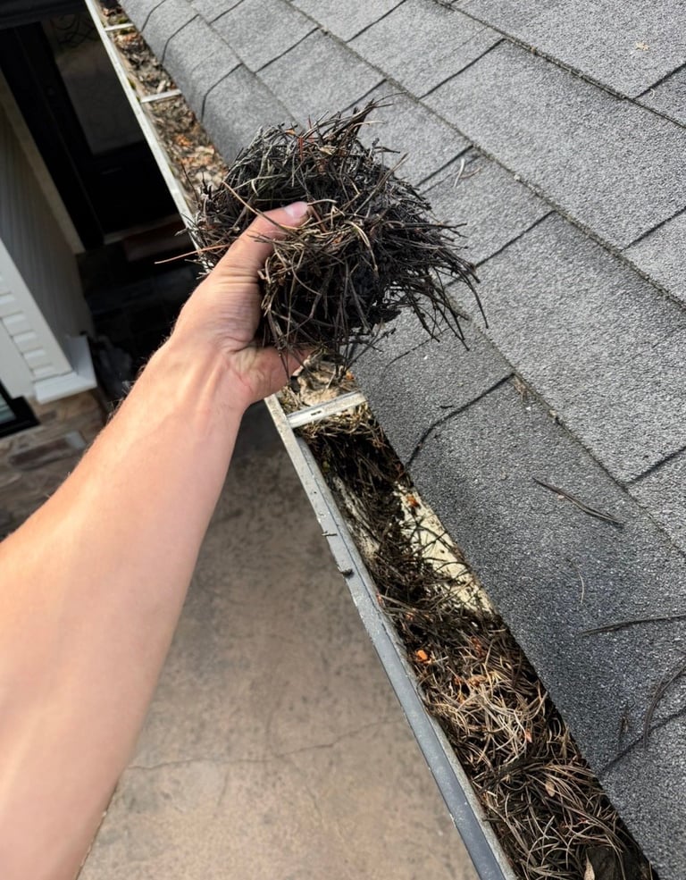 Hand holding pile of leaves and debris cleaned from roof gutter above gray asphalt shingles